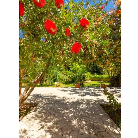 Russa Alexandros Vila Khelmáta